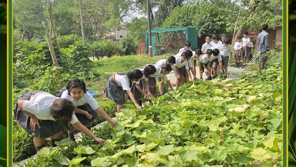 best schools in Kanpur for class Nursery