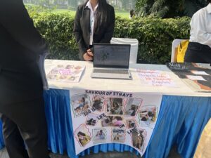 how to apply for school admissions in Kanpur