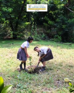 Best K-12 School