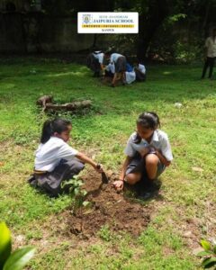 Best K-12 School