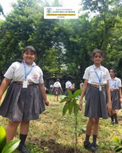 Best K-12 School